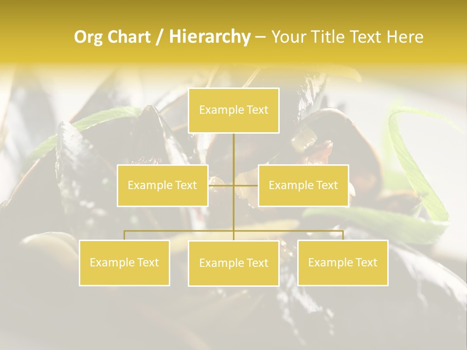 Macro Fish Closed PowerPoint Template