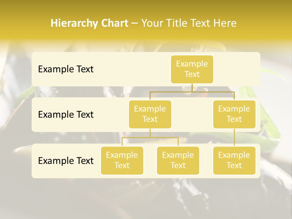 Macro Fish Closed PowerPoint Template