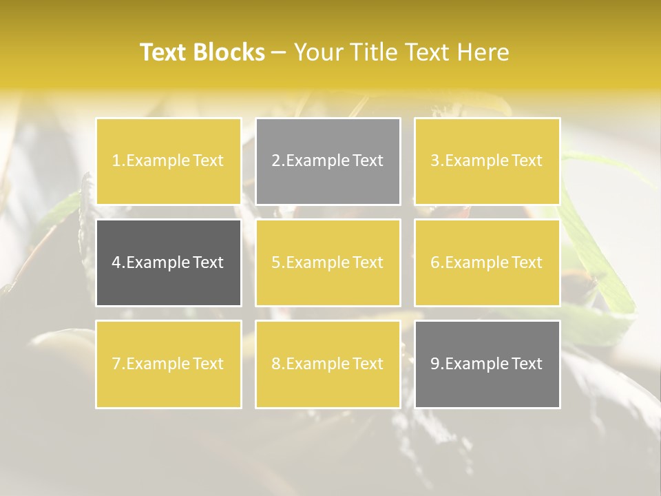 Macro Fish Closed PowerPoint Template