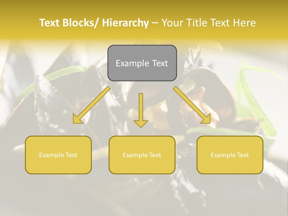 Macro Fish Closed PowerPoint Template