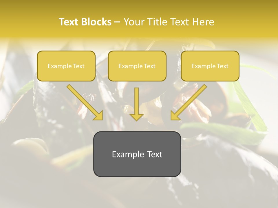 Macro Fish Closed PowerPoint Template