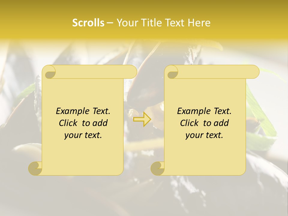 Macro Fish Closed PowerPoint Template
