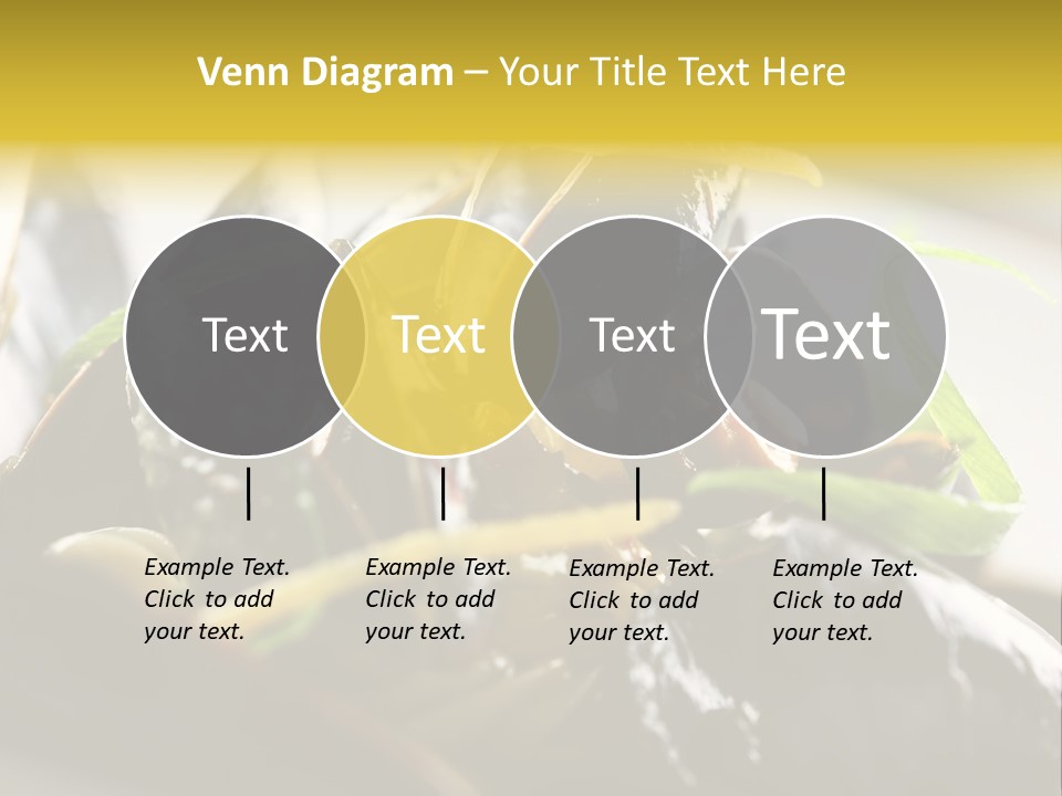 Macro Fish Closed PowerPoint Template