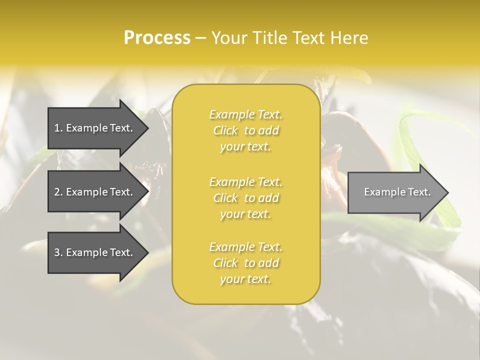 Macro Fish Closed PowerPoint Template