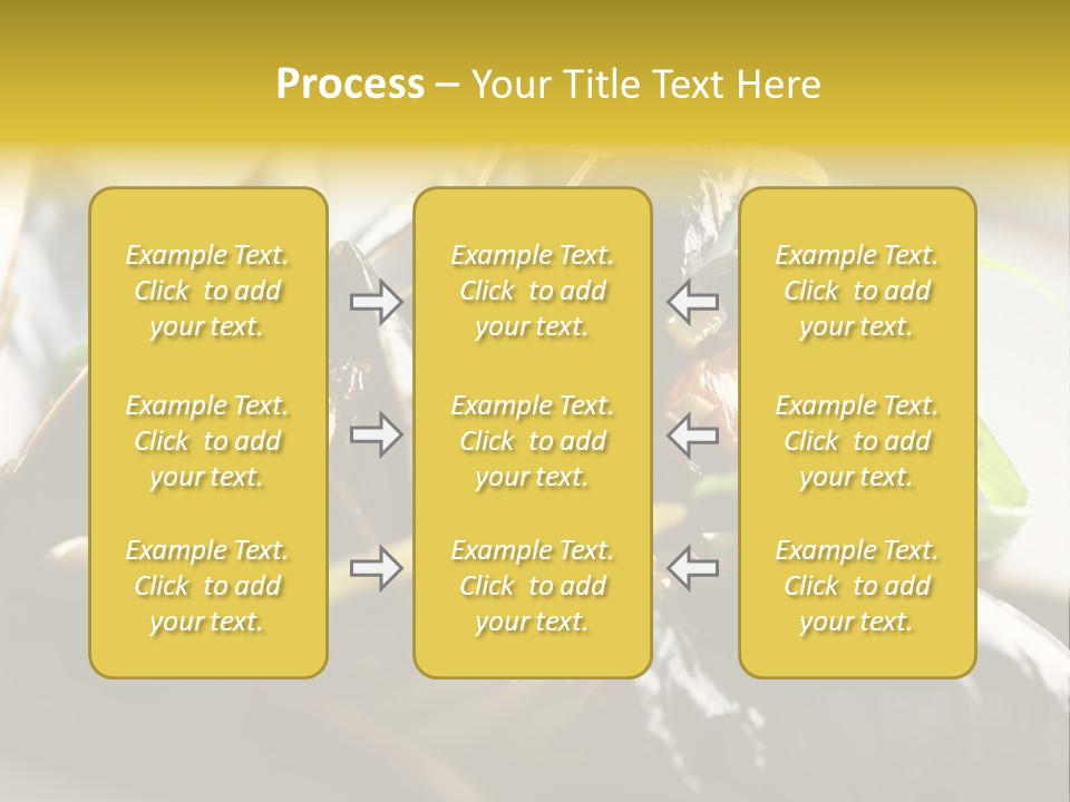 Macro Fish Closed PowerPoint Template
