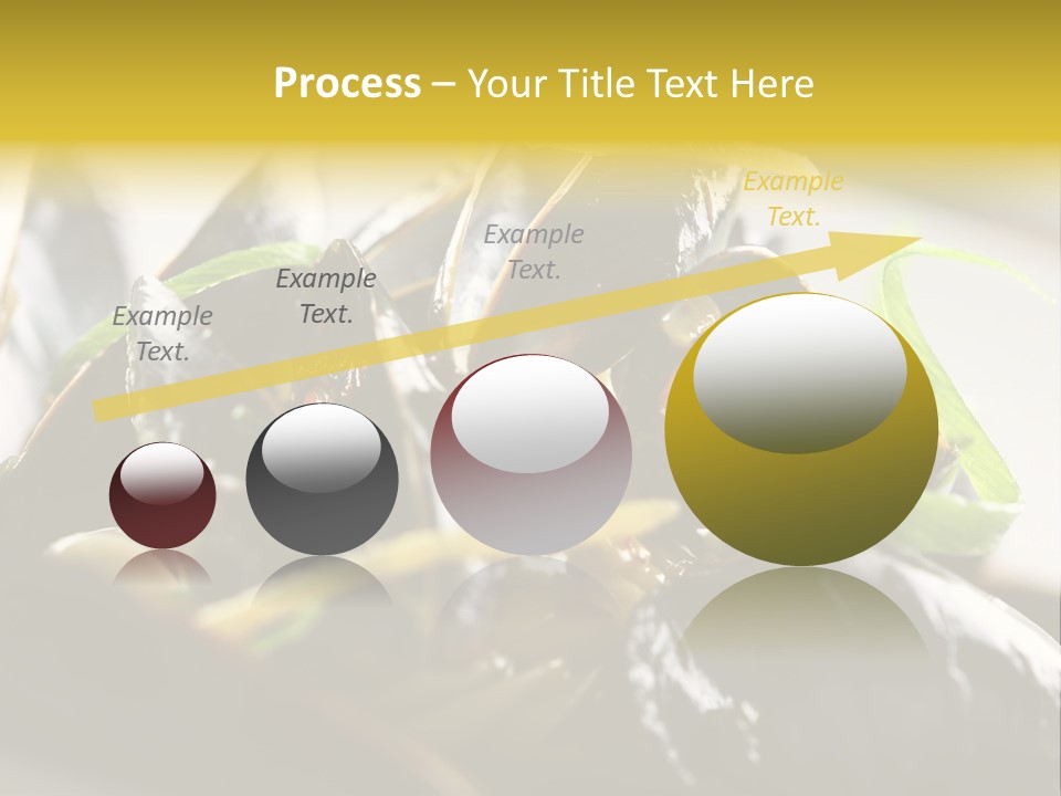 Macro Fish Closed PowerPoint Template