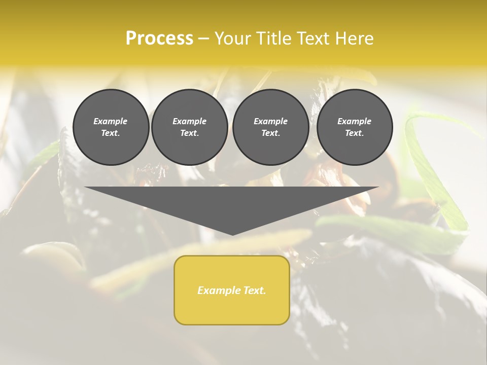 Macro Fish Closed PowerPoint Template