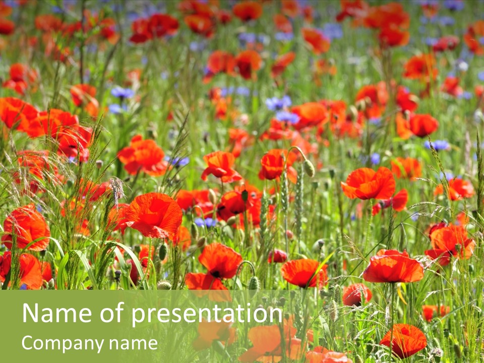 Plant Rural Spring PowerPoint Template