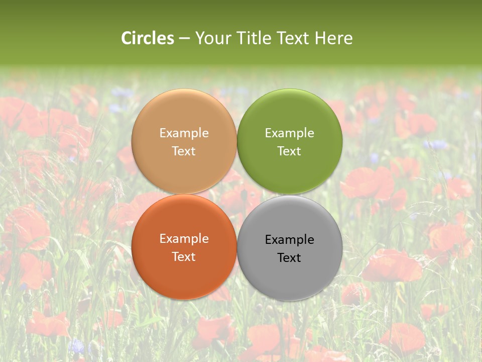 Plant Rural Spring PowerPoint Template