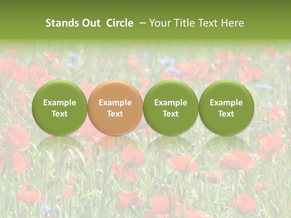 Plant Rural Spring PowerPoint Template