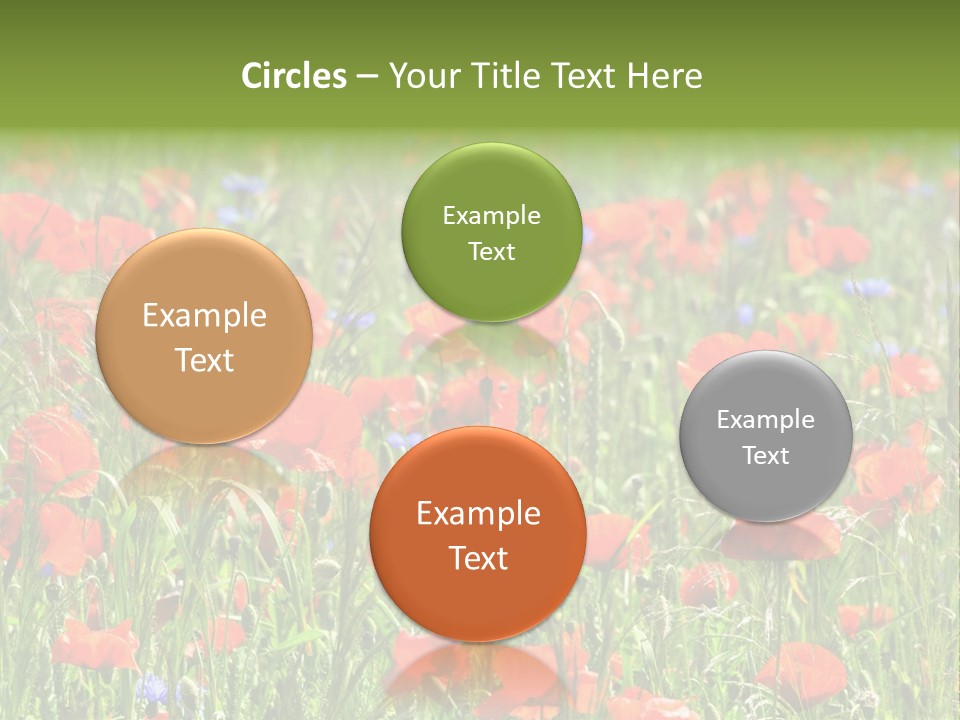 Plant Rural Spring PowerPoint Template