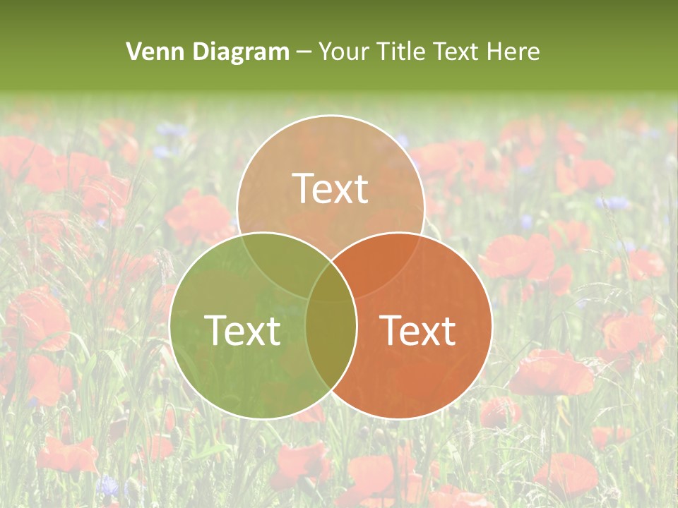 Plant Rural Spring PowerPoint Template