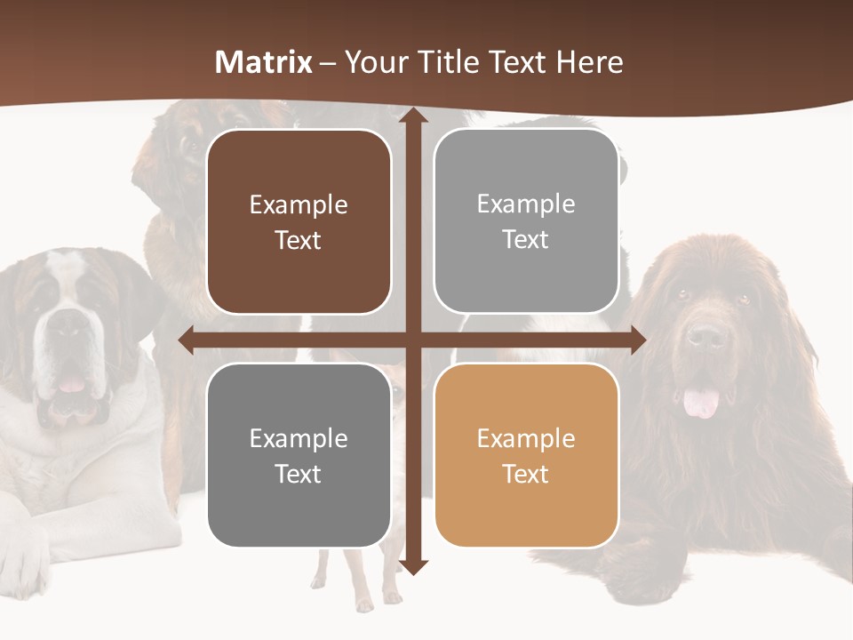 Pawns Bernard Pack PowerPoint Template