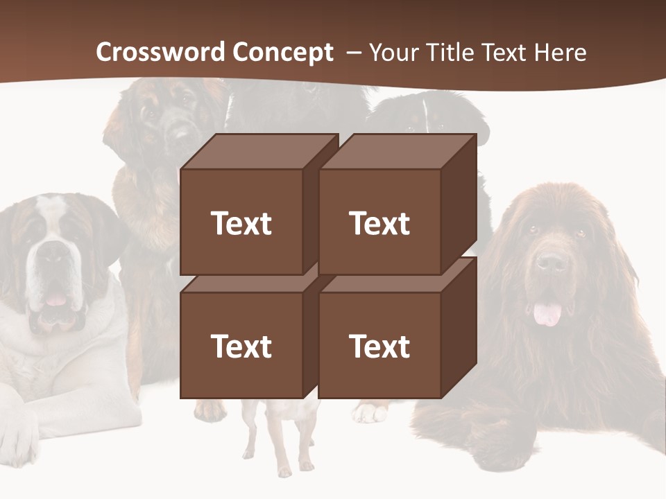 Pawns Bernard Pack PowerPoint Template