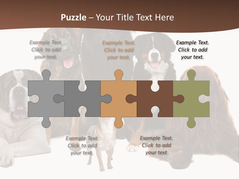 Pawns Bernard Pack PowerPoint Template