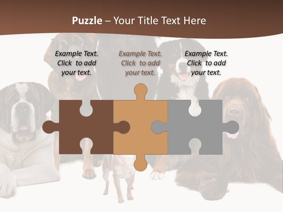 Pawns Bernard Pack PowerPoint Template