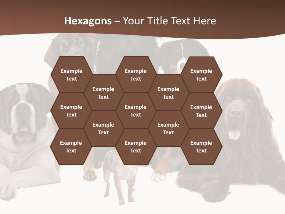 Pawns Bernard Pack PowerPoint Template