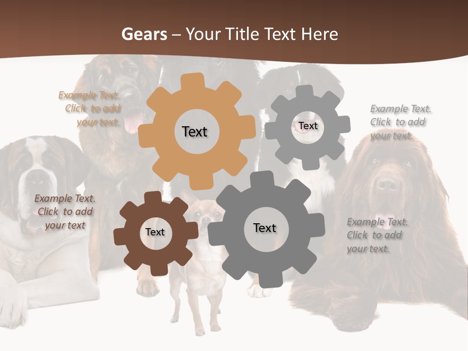 Pawns Bernard Pack PowerPoint Template