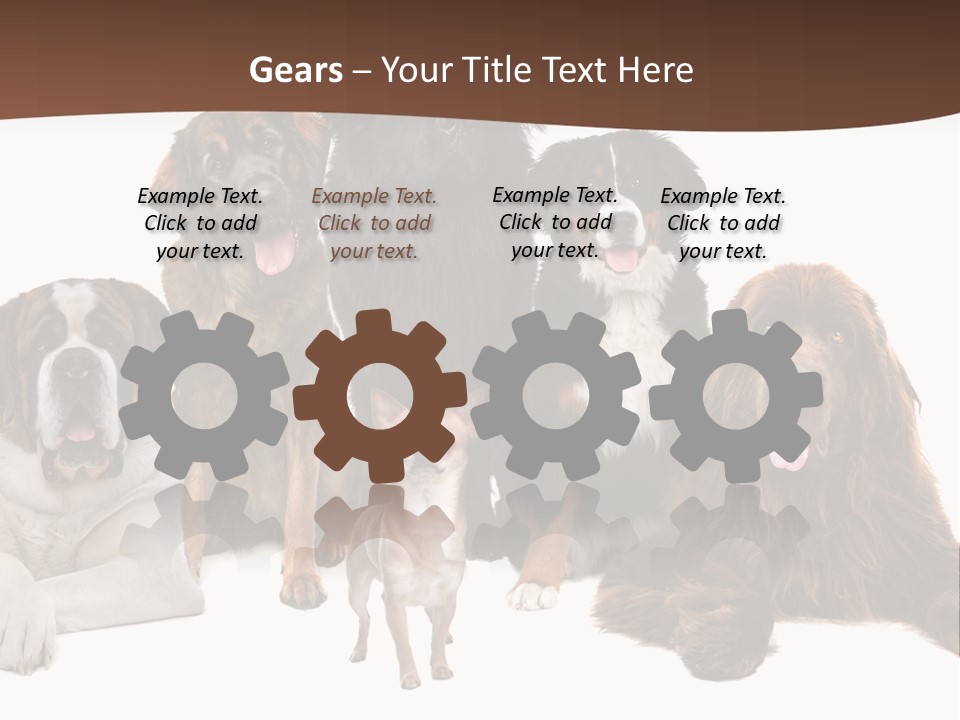 Pawns Bernard Pack PowerPoint Template