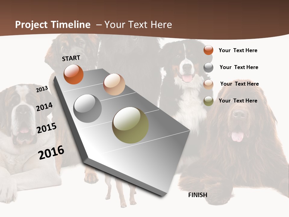 Pawns Bernard Pack PowerPoint Template