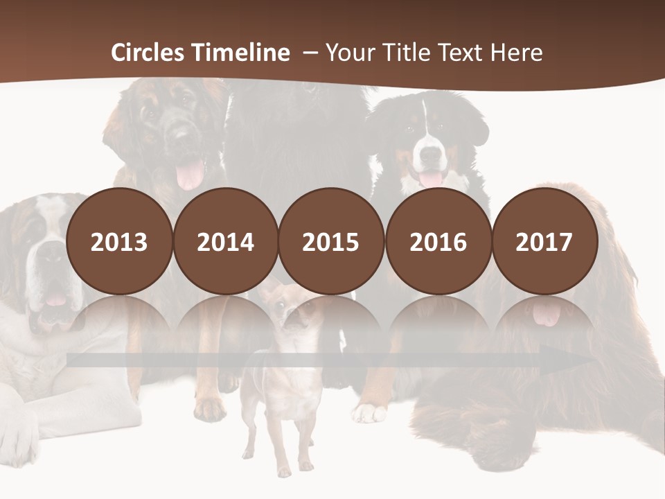 Pawns Bernard Pack PowerPoint Template