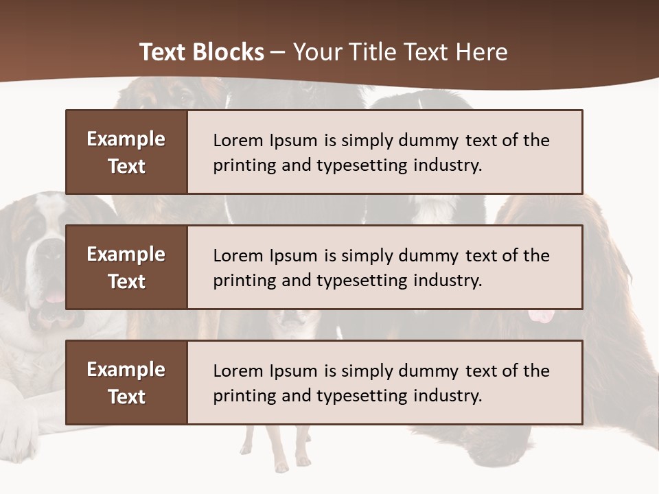 Pawns Bernard Pack PowerPoint Template