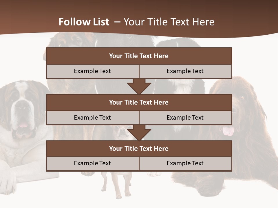 Pawns Bernard Pack PowerPoint Template