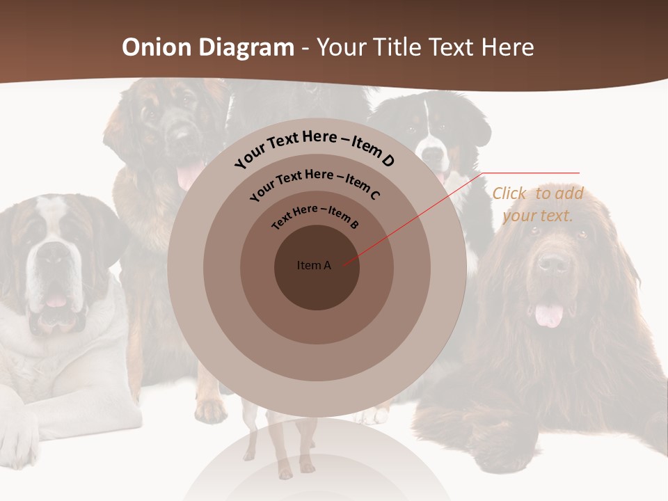 Pawns Bernard Pack PowerPoint Template