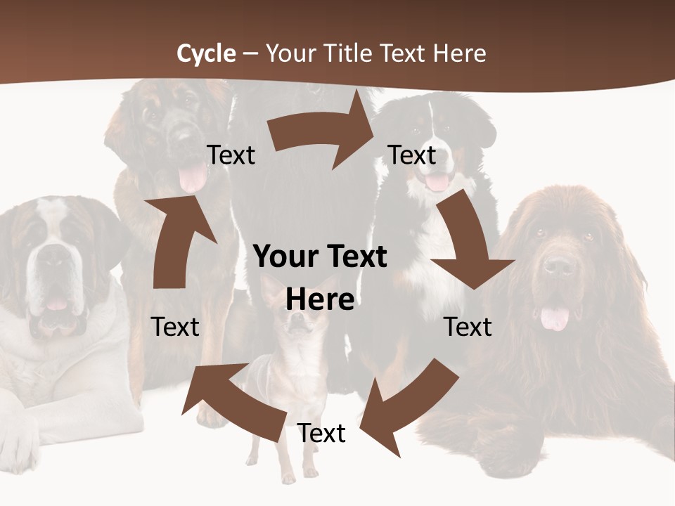 Pawns Bernard Pack PowerPoint Template