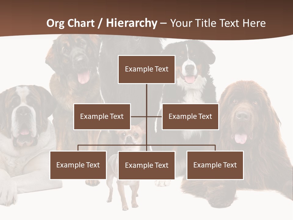 Pawns Bernard Pack PowerPoint Template