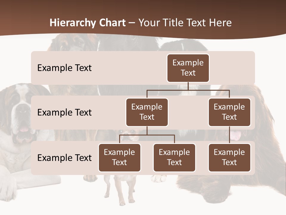 Pawns Bernard Pack PowerPoint Template