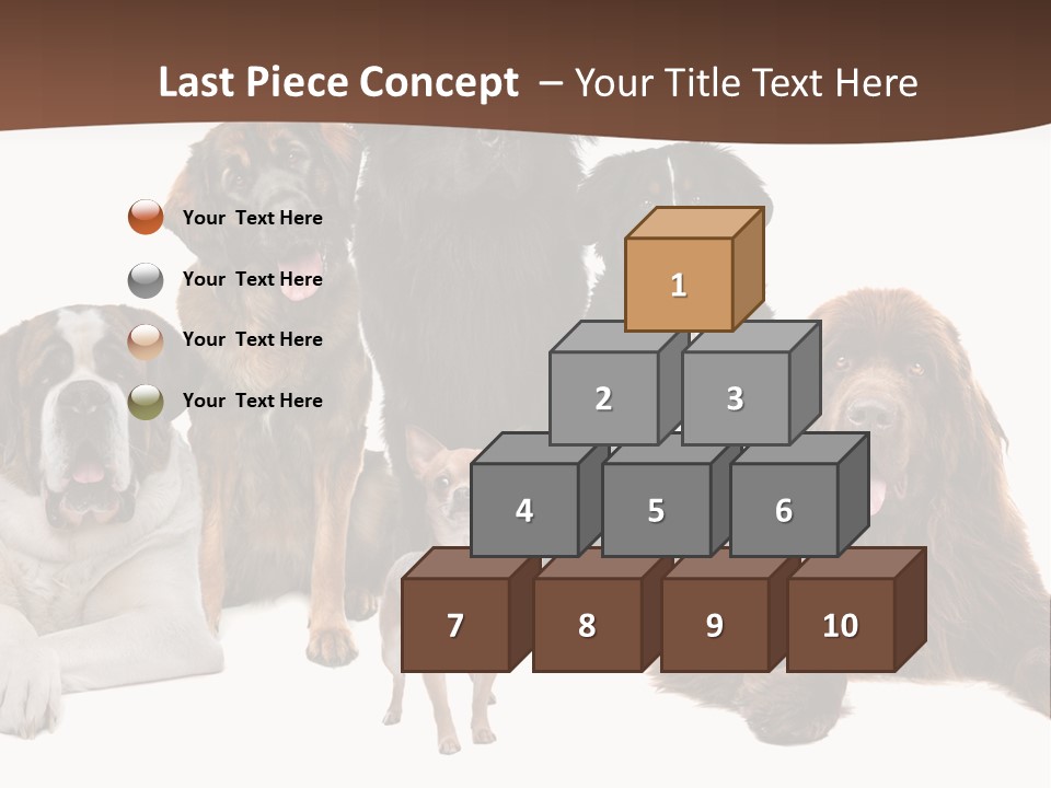 Pawns Bernard Pack PowerPoint Template