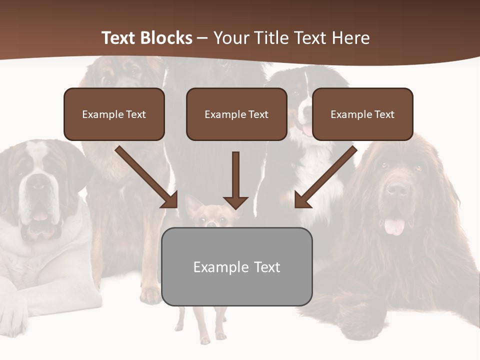 Pawns Bernard Pack PowerPoint Template