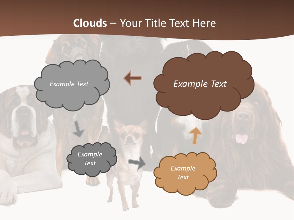Pawns Bernard Pack PowerPoint Template