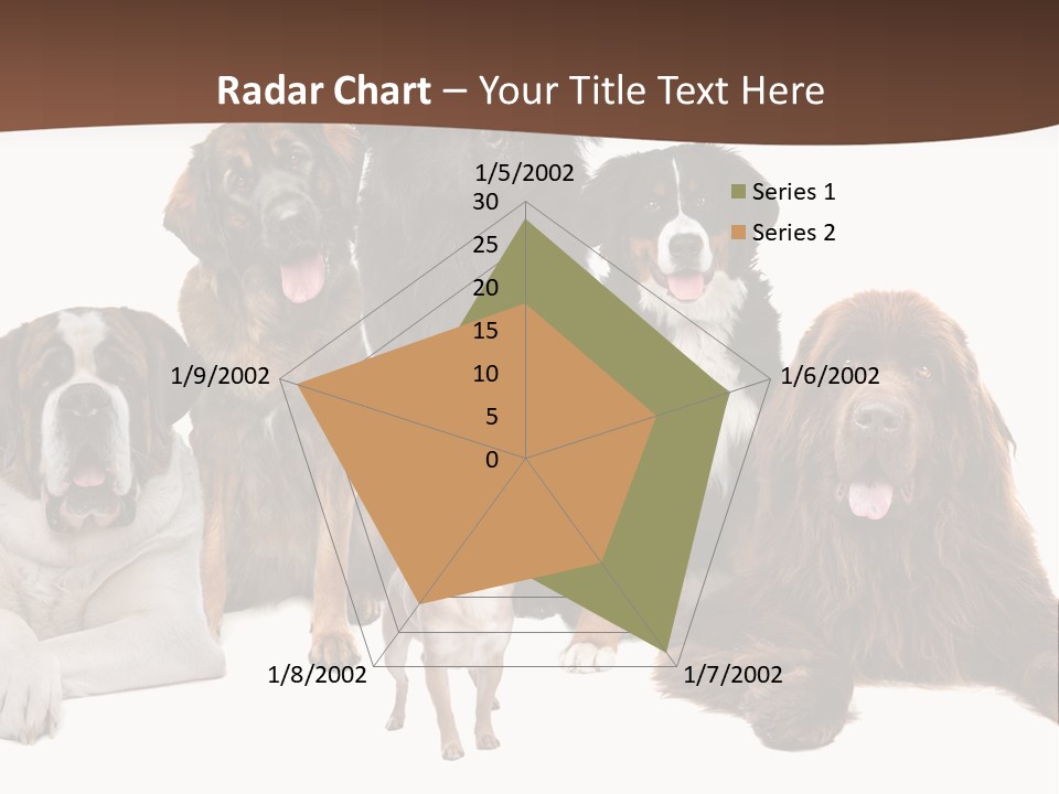 Pawns Bernard Pack PowerPoint Template