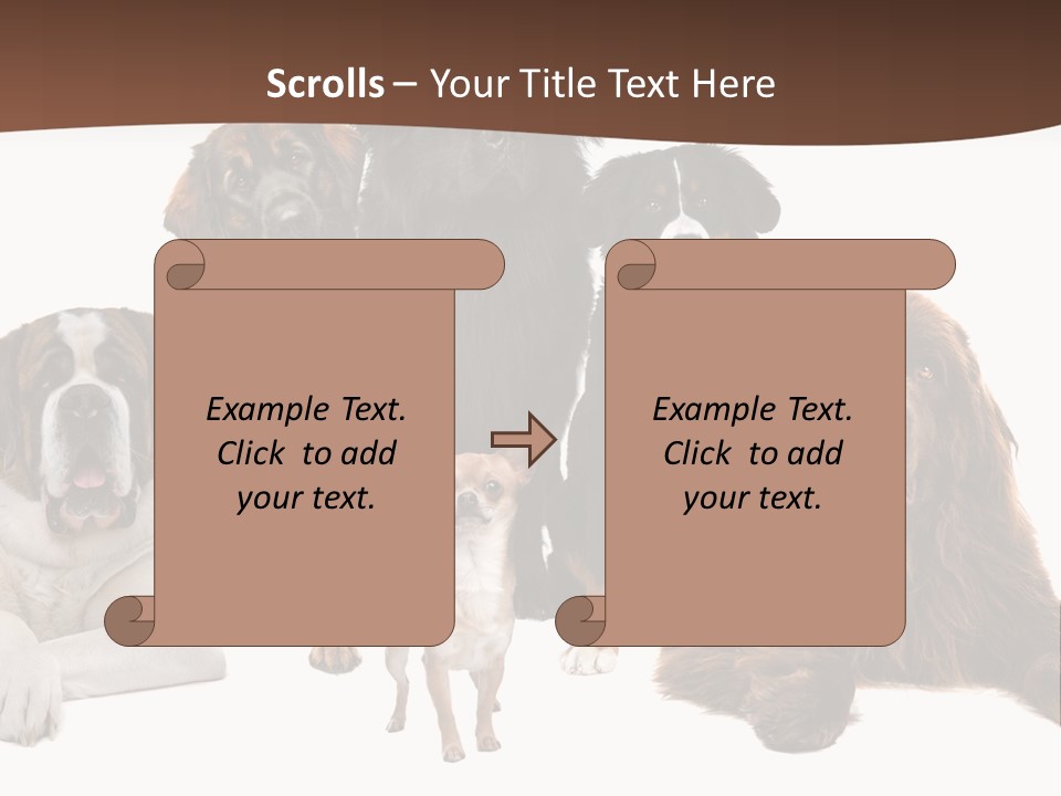 Pawns Bernard Pack PowerPoint Template