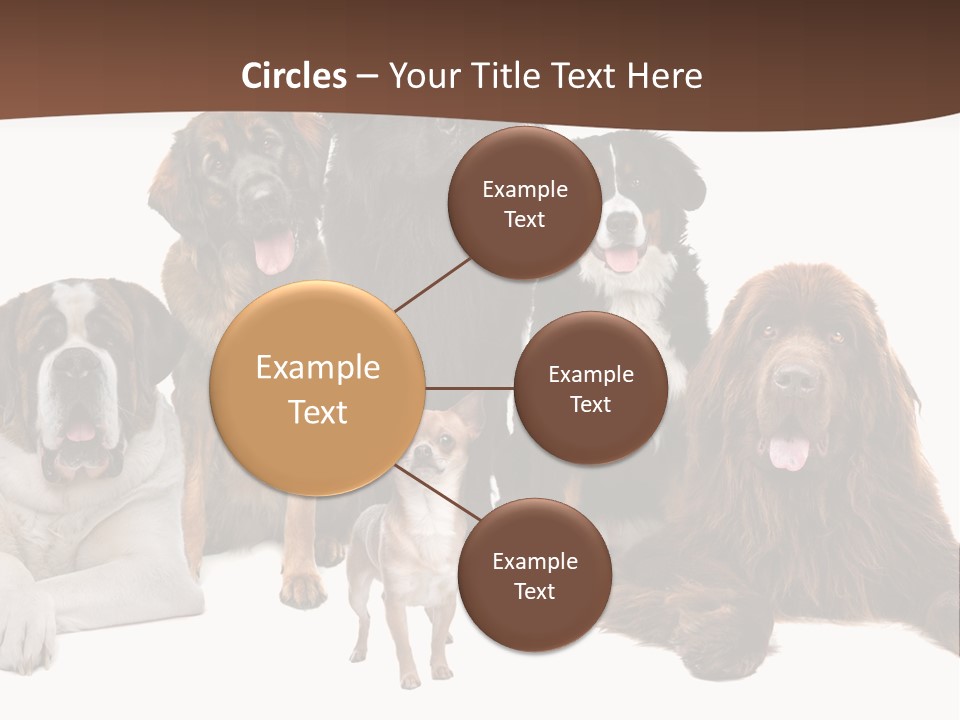 Pawns Bernard Pack PowerPoint Template