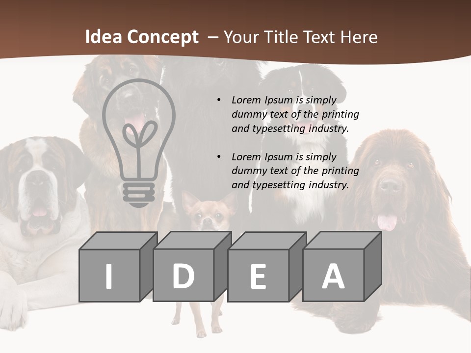 Pawns Bernard Pack PowerPoint Template