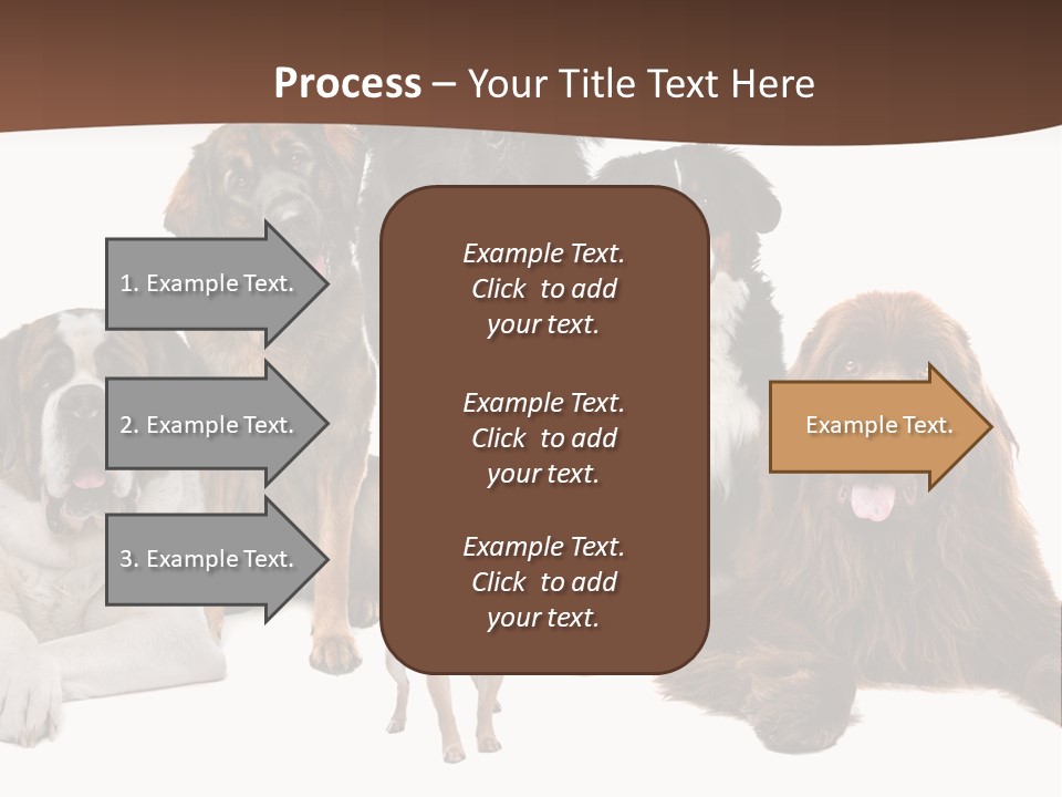 Pawns Bernard Pack PowerPoint Template