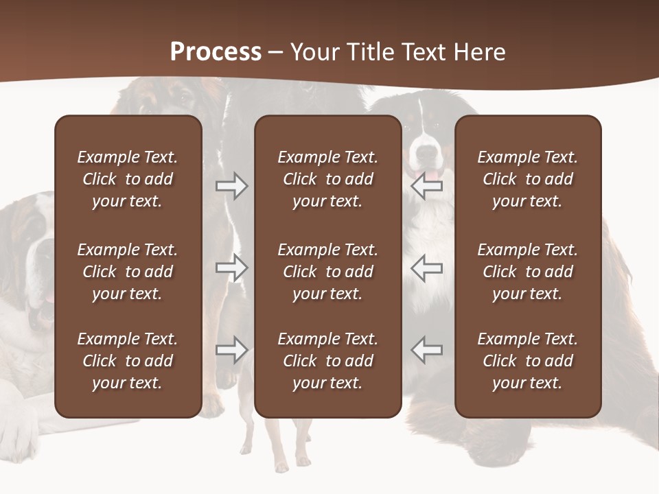 Pawns Bernard Pack PowerPoint Template