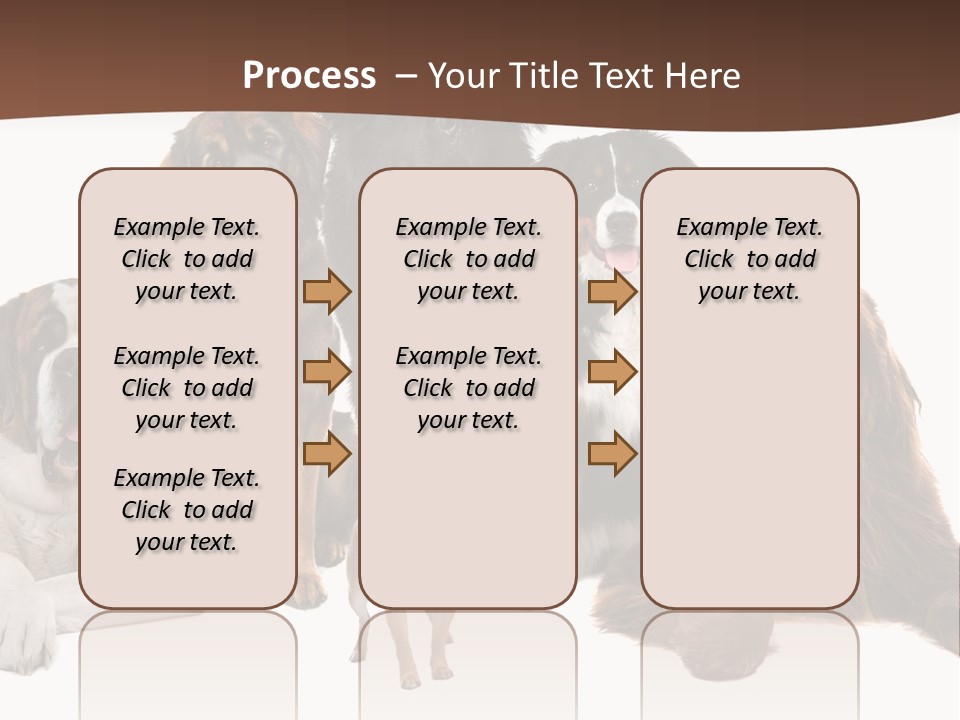 Pawns Bernard Pack PowerPoint Template