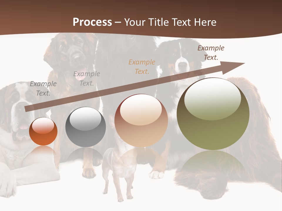 Pawns Bernard Pack PowerPoint Template