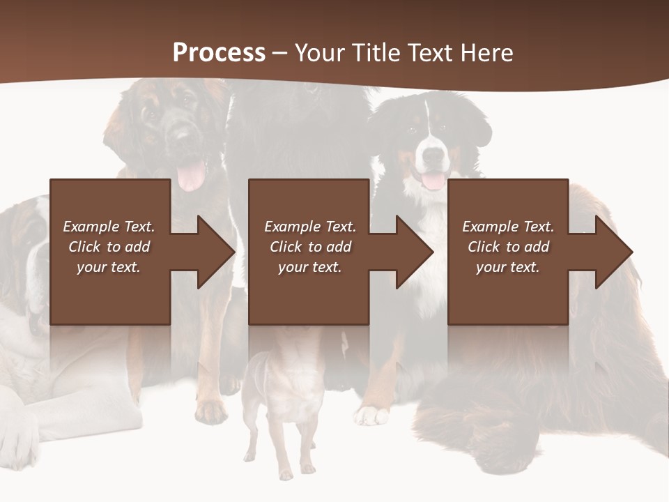 Pawns Bernard Pack PowerPoint Template