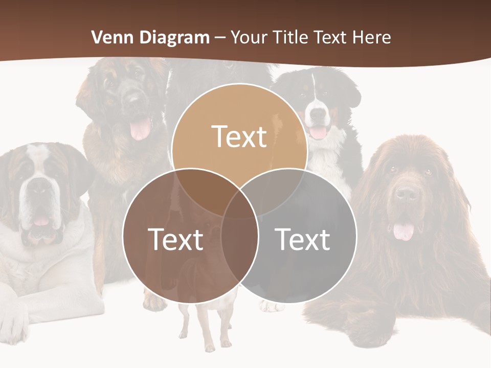 Pawns Bernard Pack PowerPoint Template