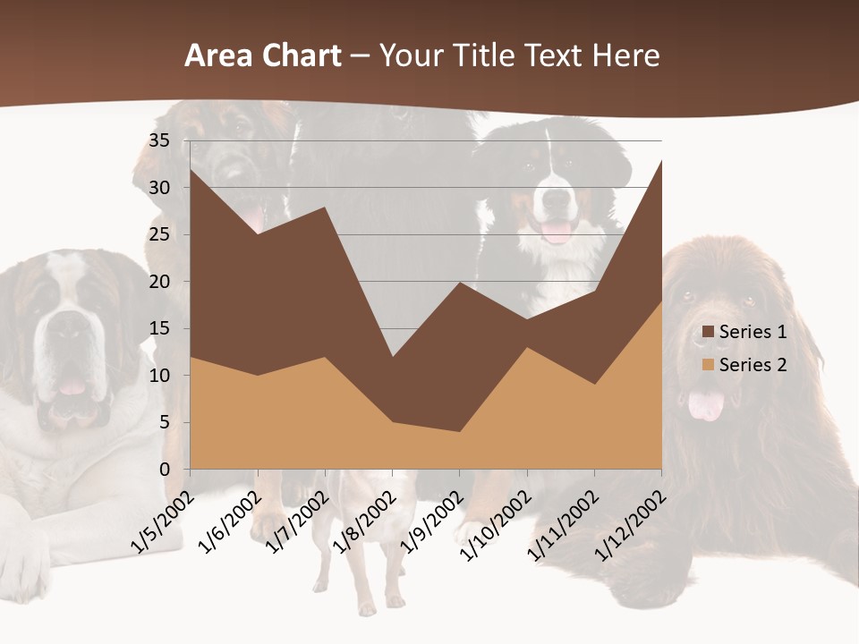 Pawns Bernard Pack PowerPoint Template
