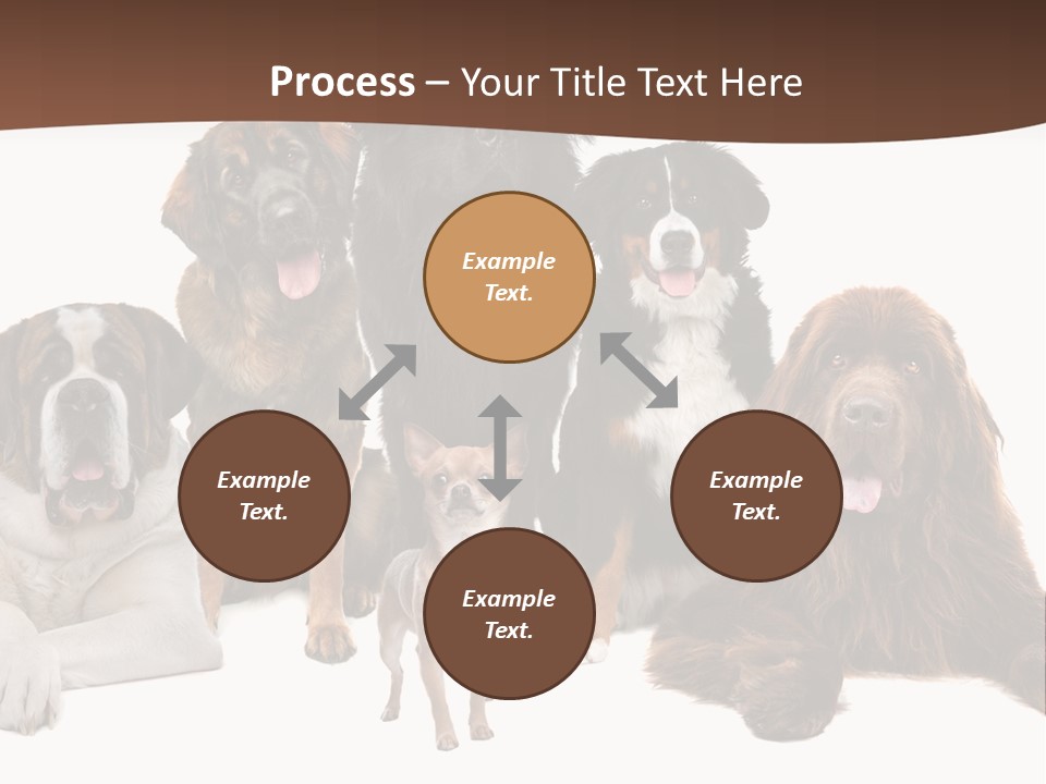 Pawns Bernard Pack PowerPoint Template