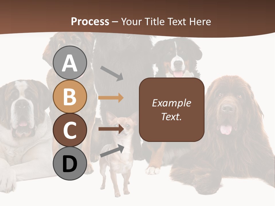 Pawns Bernard Pack PowerPoint Template