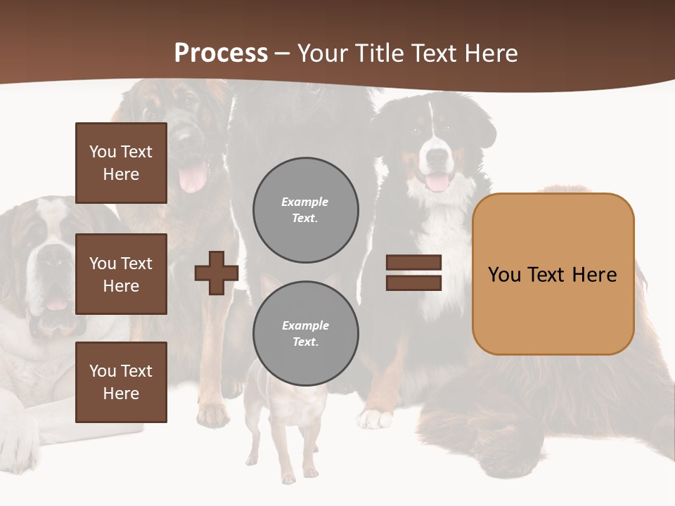 Pawns Bernard Pack PowerPoint Template