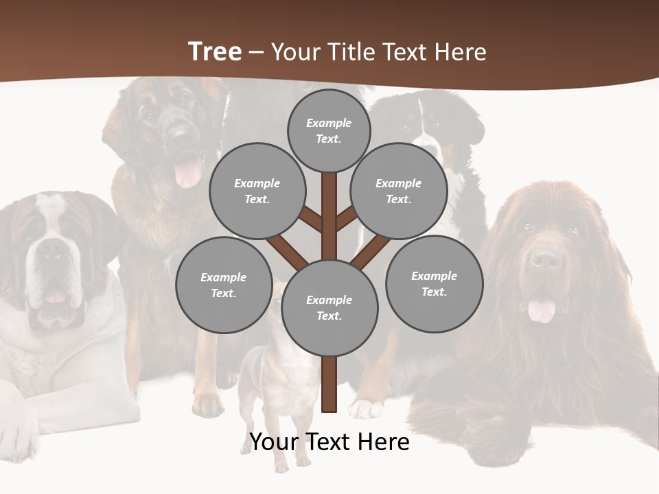 Pawns Bernard Pack PowerPoint Template