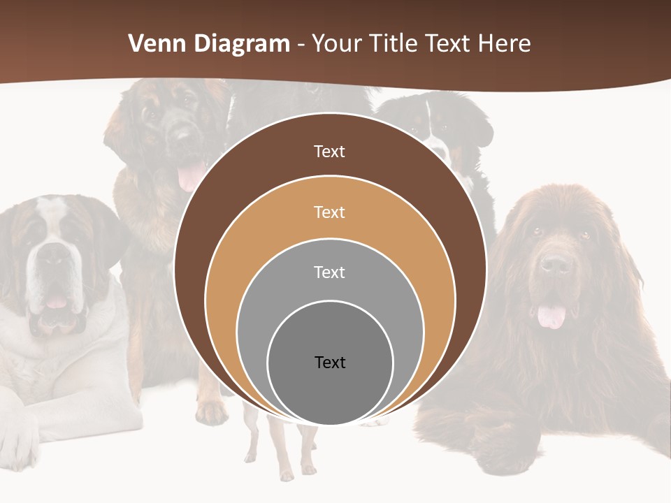 Pawns Bernard Pack PowerPoint Template